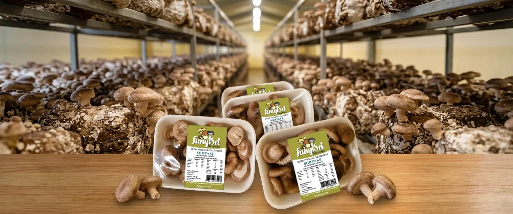 shiitake